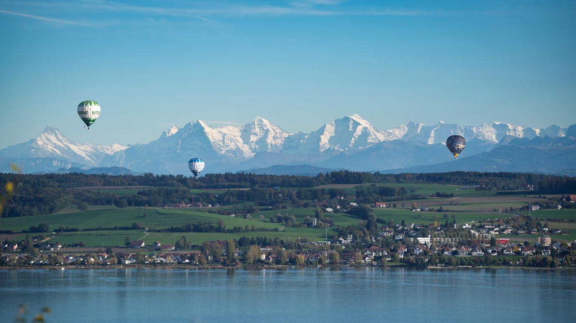 Mann-Filter Wettbewerb